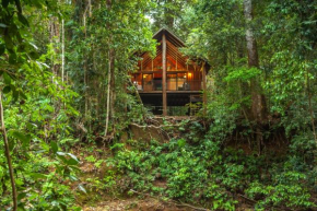 The Canopy Rainforest Treehouses & Wildlife Sanctuary, Tarzali